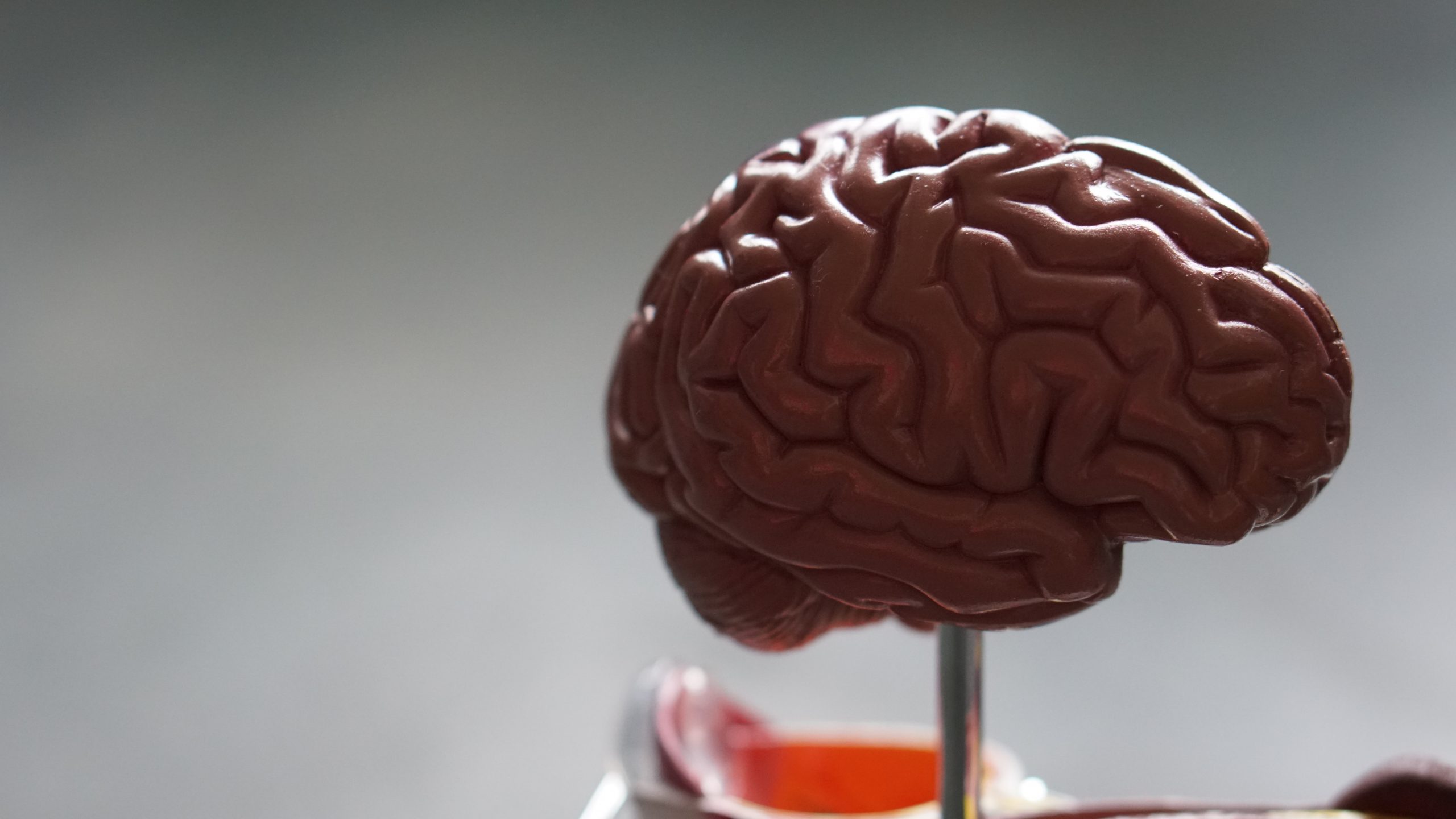An age-old problem: when does the brain deteriorate? - Vimarsana News